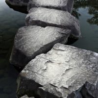 Mindfulness Saved My Life Coaching